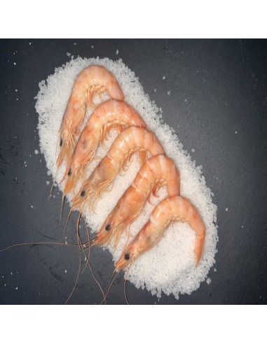 GAMBA 115/120 COCIDO