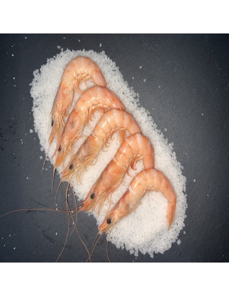 GAMBA 115/120 COCIDO
