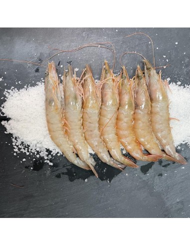 LANGOSTINO 60/80