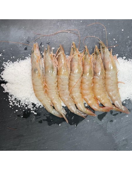 LANGOSTINO 60/80