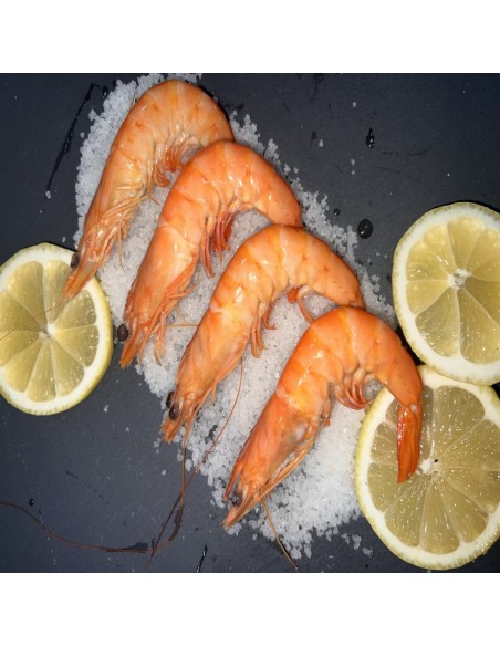 LANGOSTINO 40/60 COCIDO